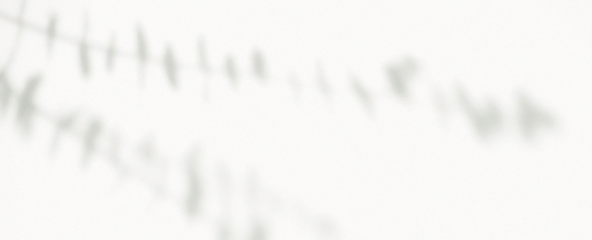 land-rev-1-background-img d
