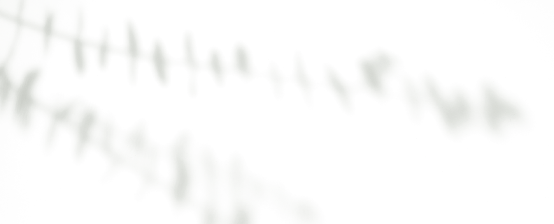 lan-shadow-img a
