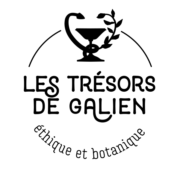 logo main