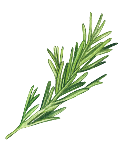 rosemary