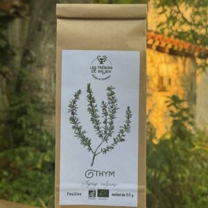 Tisane de Thym