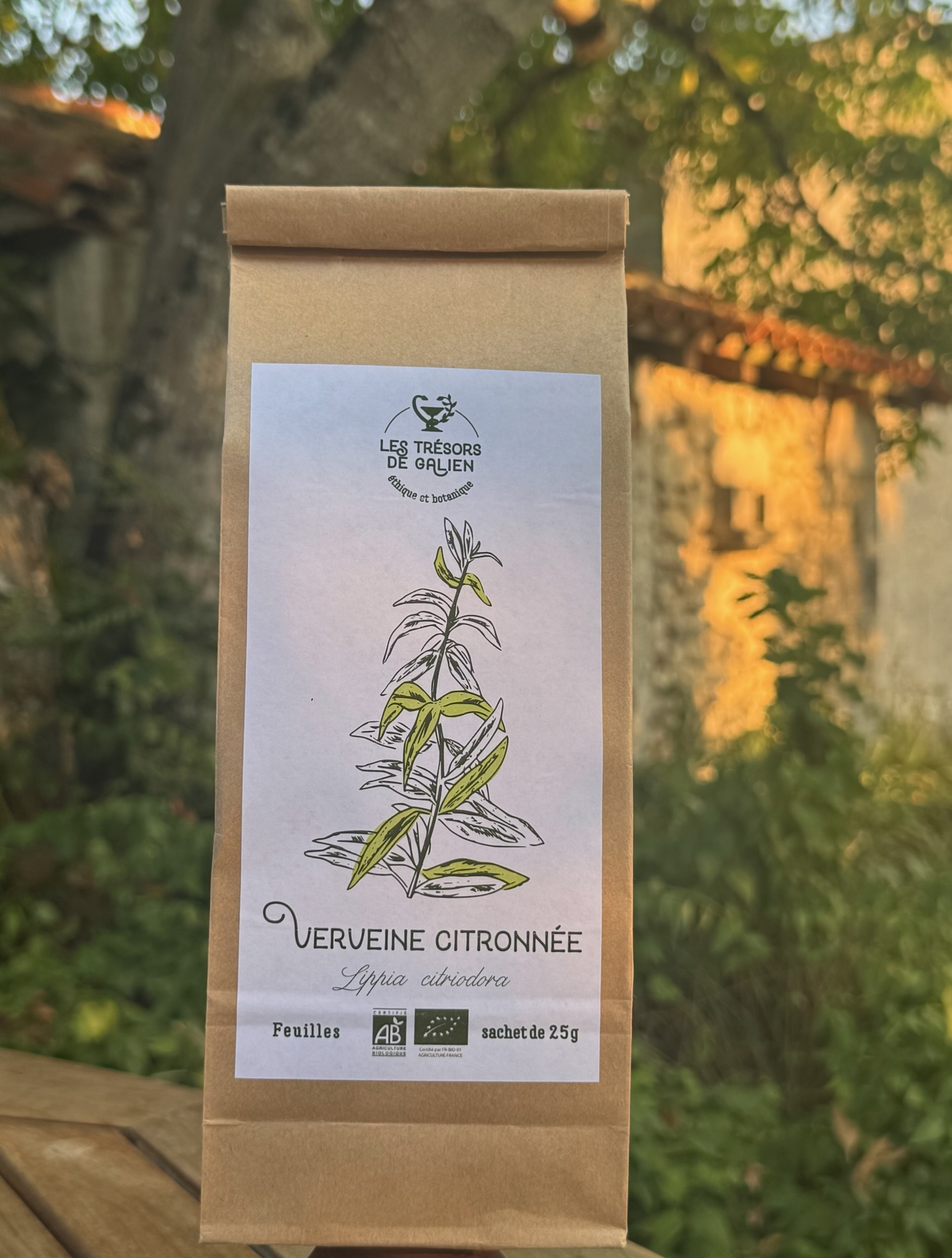 Tisane de verveine citronnée