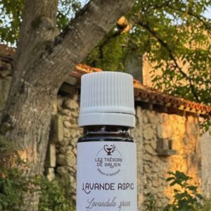 Huile essentielle de Lavande aspic.