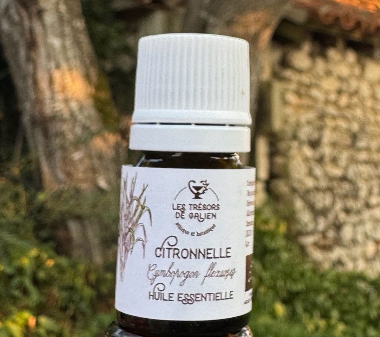 Huile essentielle de Citronnelle