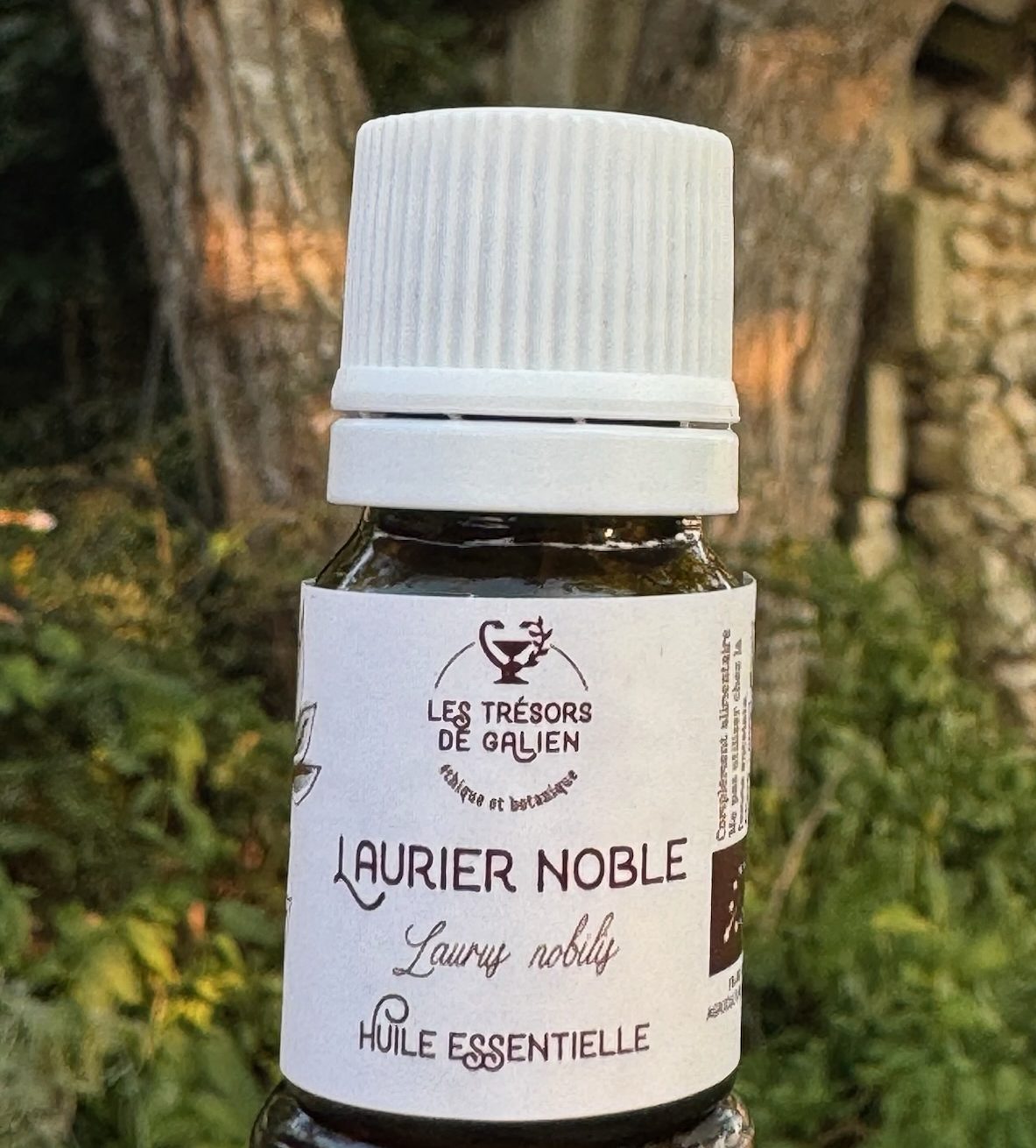 Huile essentielle de Laurier noble