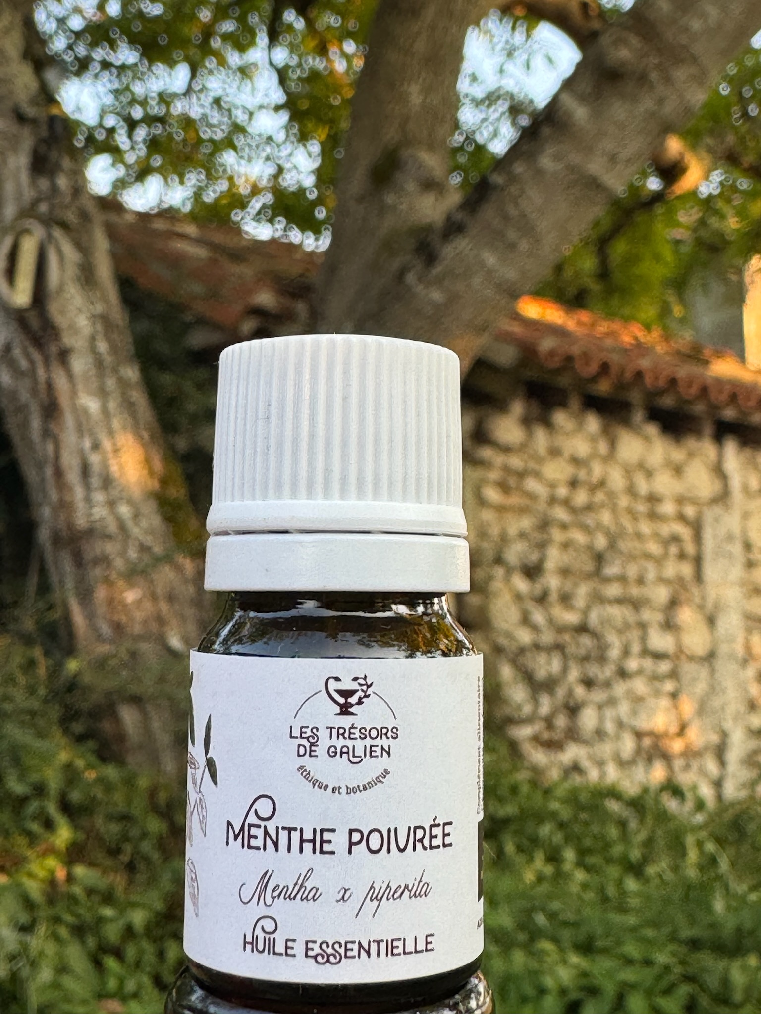 Huile essentielle de Menthe poivrée.